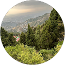 bhupender singh profile picture